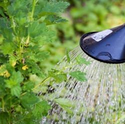 Ich spare Wasser, indem...    