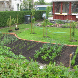 Kleingärtnerische Nutzung aus gartenfachlicher Sicht (ca. 1h im Rahmen unserer Neupächter*innen-Schulung)